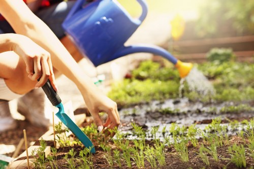 Overgrown garden cleared in Lamorbey with waste removed