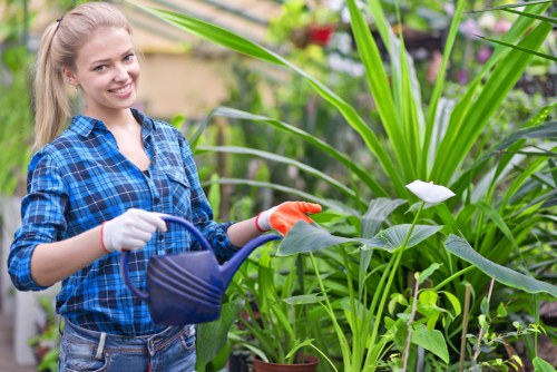 Gardeners Lamorbey recycling green waste in a sustainable garden service