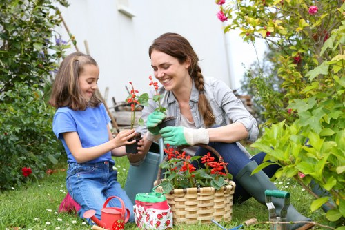 Healthy green lawn care in Lamorbey with neat edging