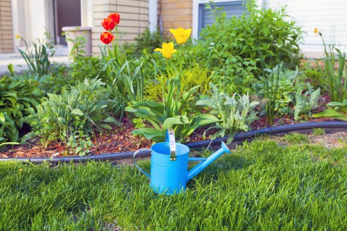 Patio cleaning in Lamorbey on a moss-covered paving area