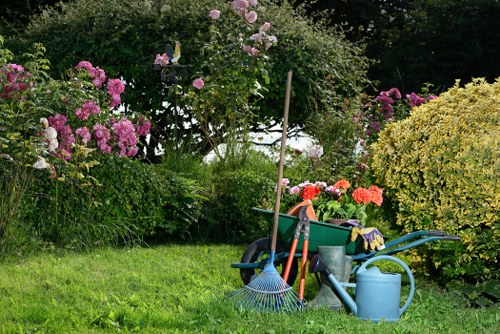Seasonal lawn maintenance for a residential garden in Lamorbey