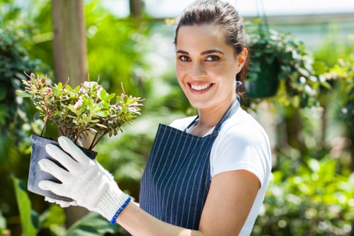 Seasonal lawn mowing service in Lamorbey keeping grass healthy