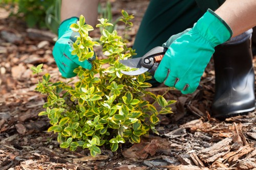 Sustainable gardening and recycling practices for Lamorbey gardens