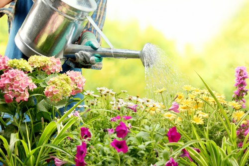 Healthy landscaped garden maintained by local gardening services in Lamorbey