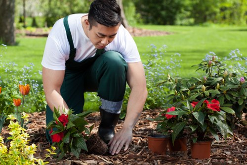 Staff training for safe gardening work in Lamorbey
