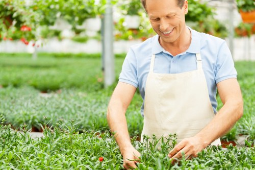 Soft landscaping and lawn design for a Lamorbey home garden