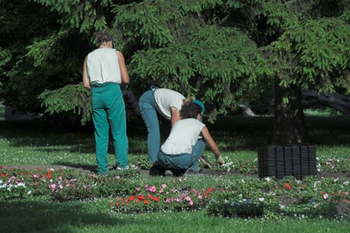 Inclusive web experience for gardeners in the Lamorbey area