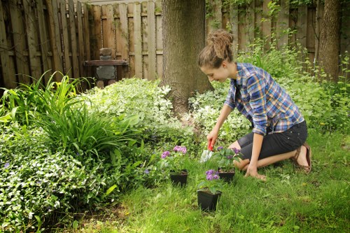 Outdoor gardening booking and service agreement concept