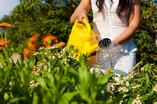Clean outdoor space in Lamorbey after garden clearance