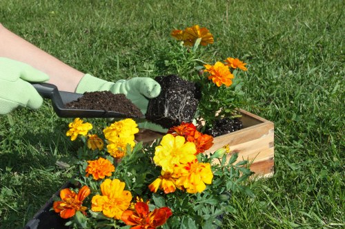 Professional garden makeover in Lamorbey with paving and shrubs