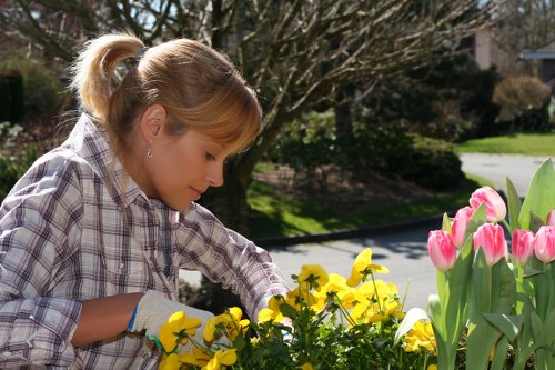 Green waste removal and disposal compliance for gardeners
