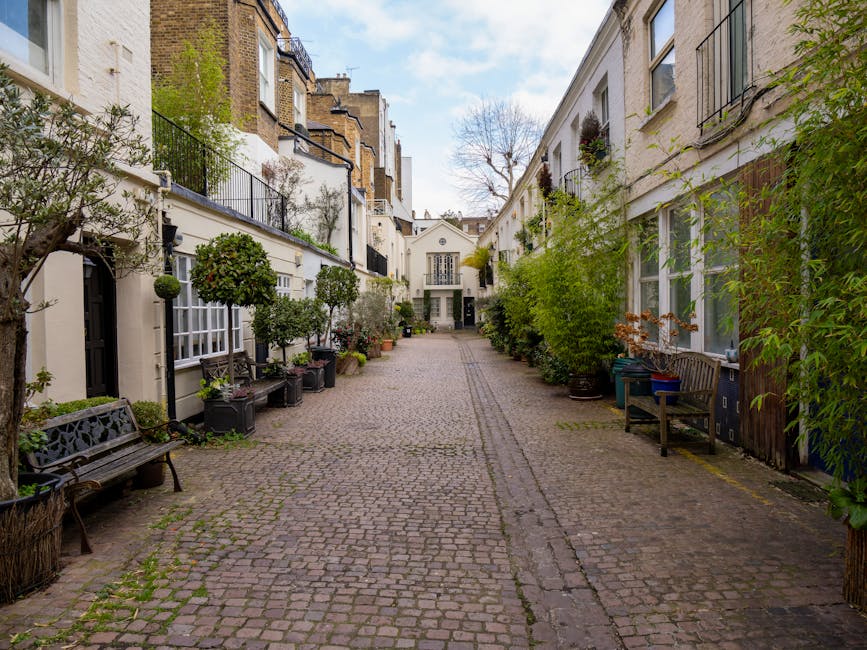 A well-maintained small garden yard featuring a row of lush, green hedges with dense, glossy leaves along a wooden deck. The garden is bordered by a residential building on the right, with horizontal