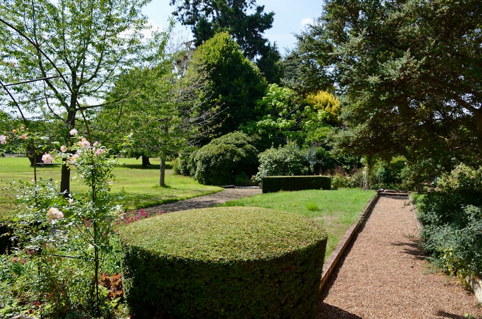 A spacious garden with a well-maintained, lush green lawn bordered by mature trees with broad leaves providing partial shade. In the background, there is an elegant conservatory with large, white-fram
